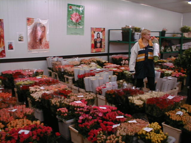 01250009.jpg (61017 Byte)