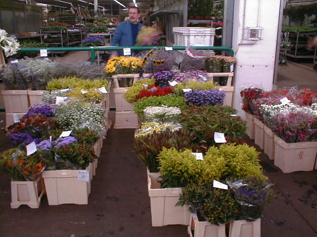 01250010.jpg (63319 Byte)