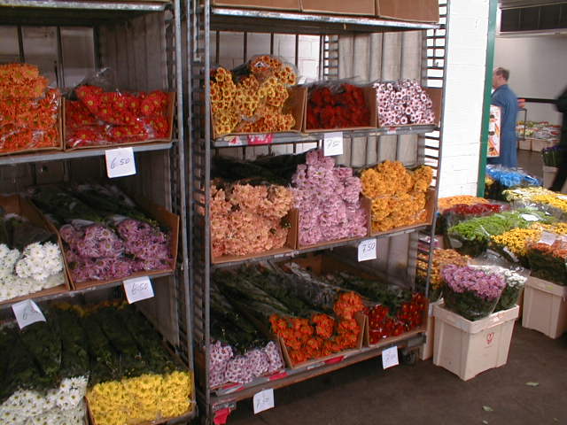 01250012.jpg (62999 Byte)