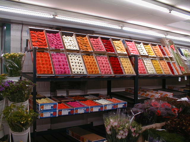 02020014.jpg (63280 Byte)