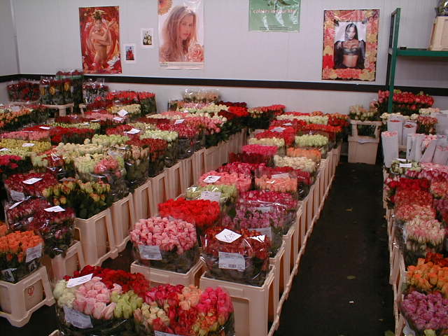 02020016.jpg (63762 Byte)