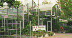 wpe54377.gif (33642 Byte)